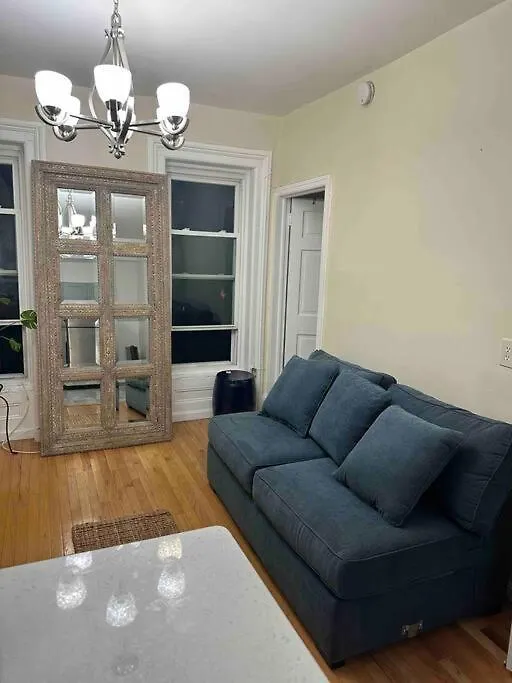 Bedstuy Beauty Apartment New York