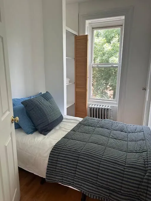 Bedstuy Beauty Apartment New York